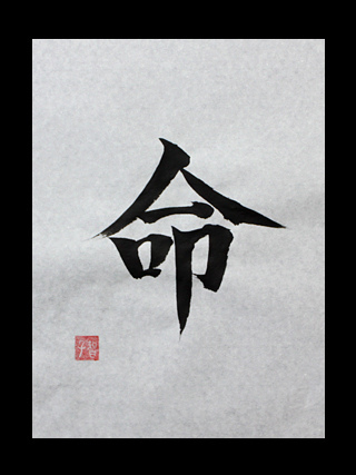japanese symbol for life